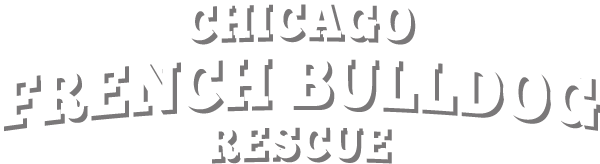 Chicago French Bulldog Rescue